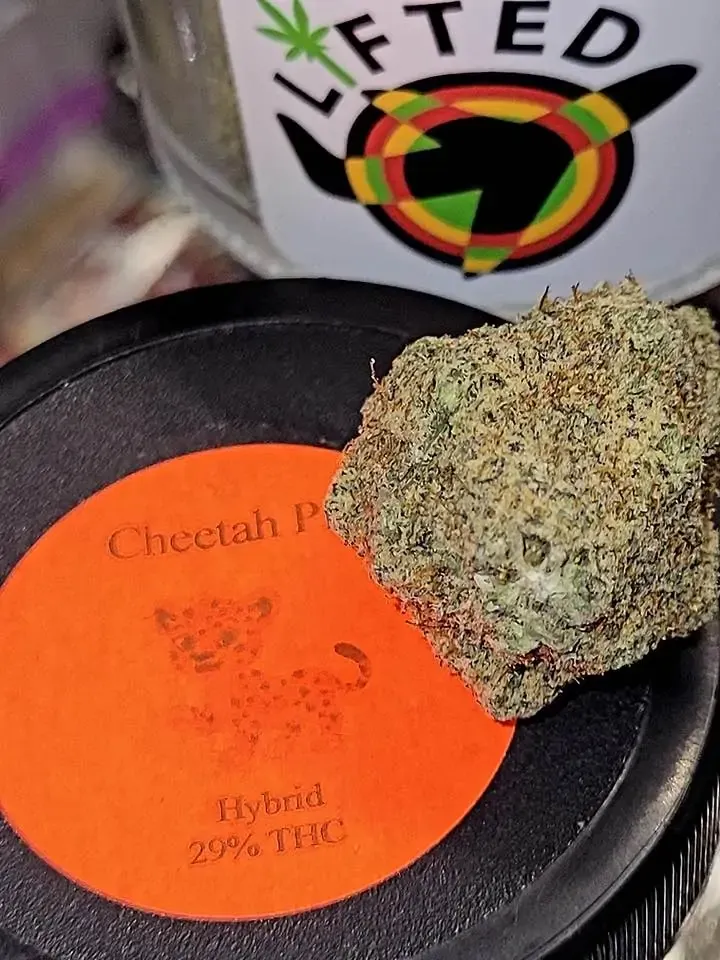 Indica vs. Sativa