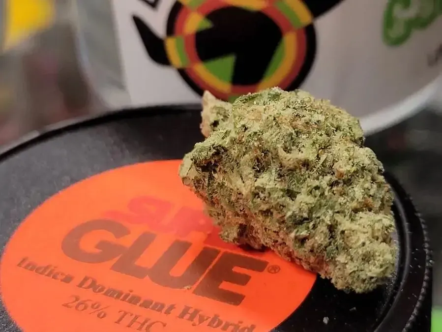 dc weed gifting initiative 71