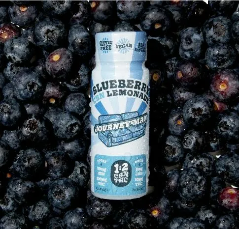 Journeyman Blueberry Lemonade Syrup 1 CBN : 2 THC